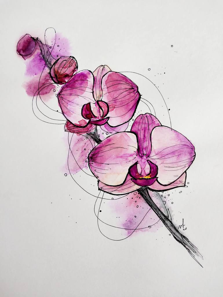 orchid drawing