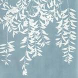 Collection Earthly Delights