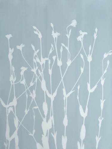 Original Contemporary Botanic Photography by Christine So