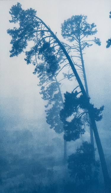 Falling Pine (10  x 18”) thumb