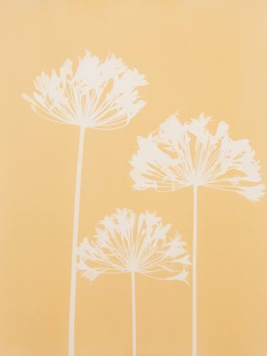 Print of Contemporary Floral Printmaking by Christine So