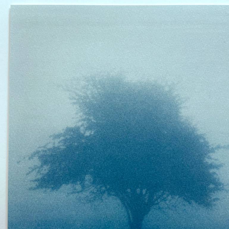 Original Other Nature Photography by Christine So