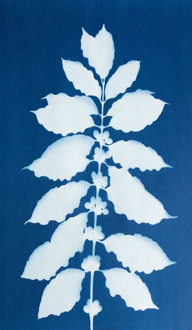 Print of Minimalism Botanic Printmaking by Christine So