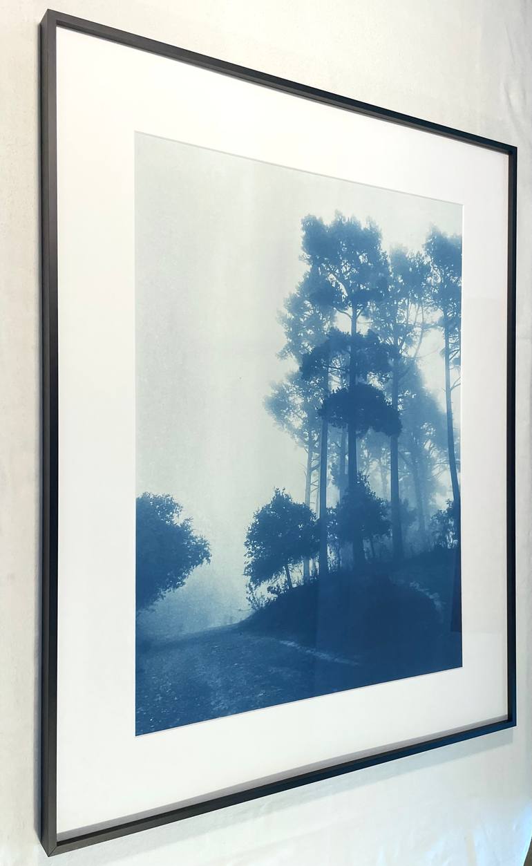 Original Documentary Nature Photography by Christine So