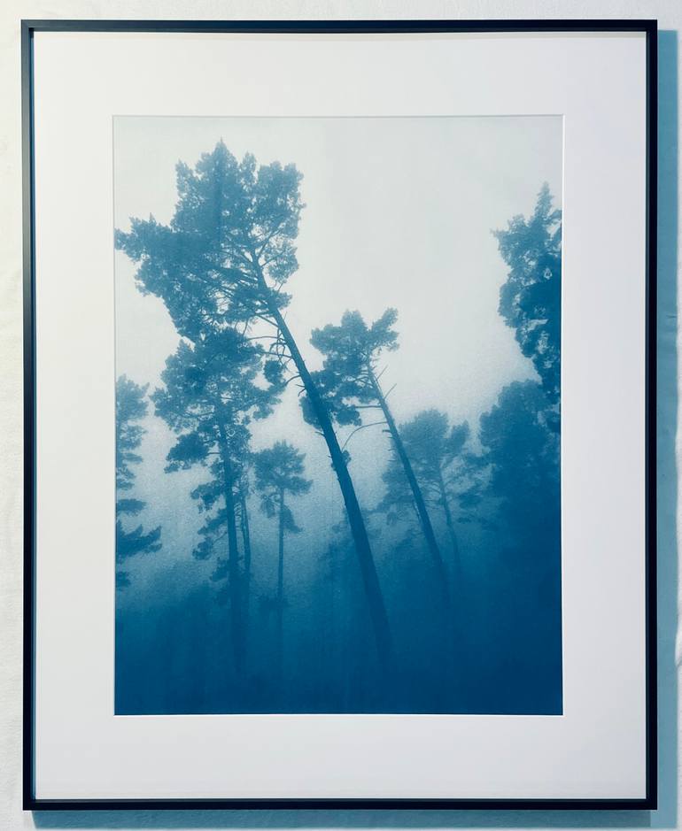 Original Impressionism Nature Photography by Christine So