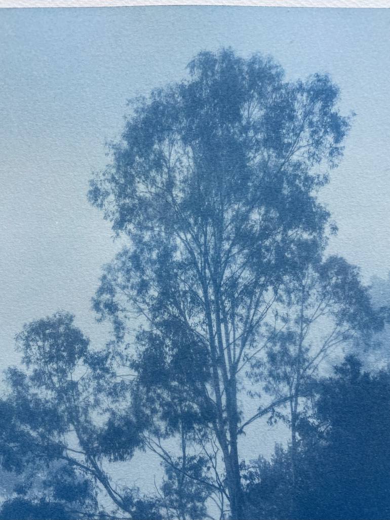 Original Fine Art Nature Photography by Christine So