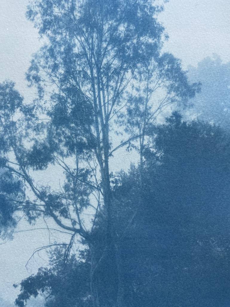 Original Fine Art Nature Photography by Christine So