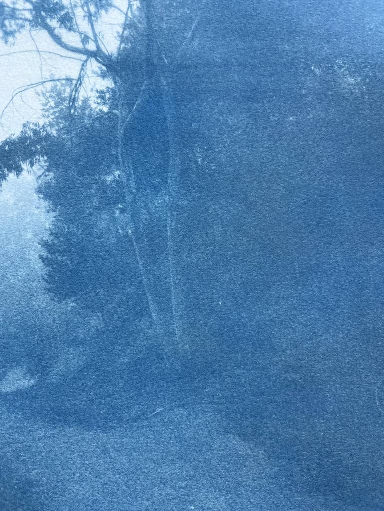 Original Fine Art Nature Photography by Christine So