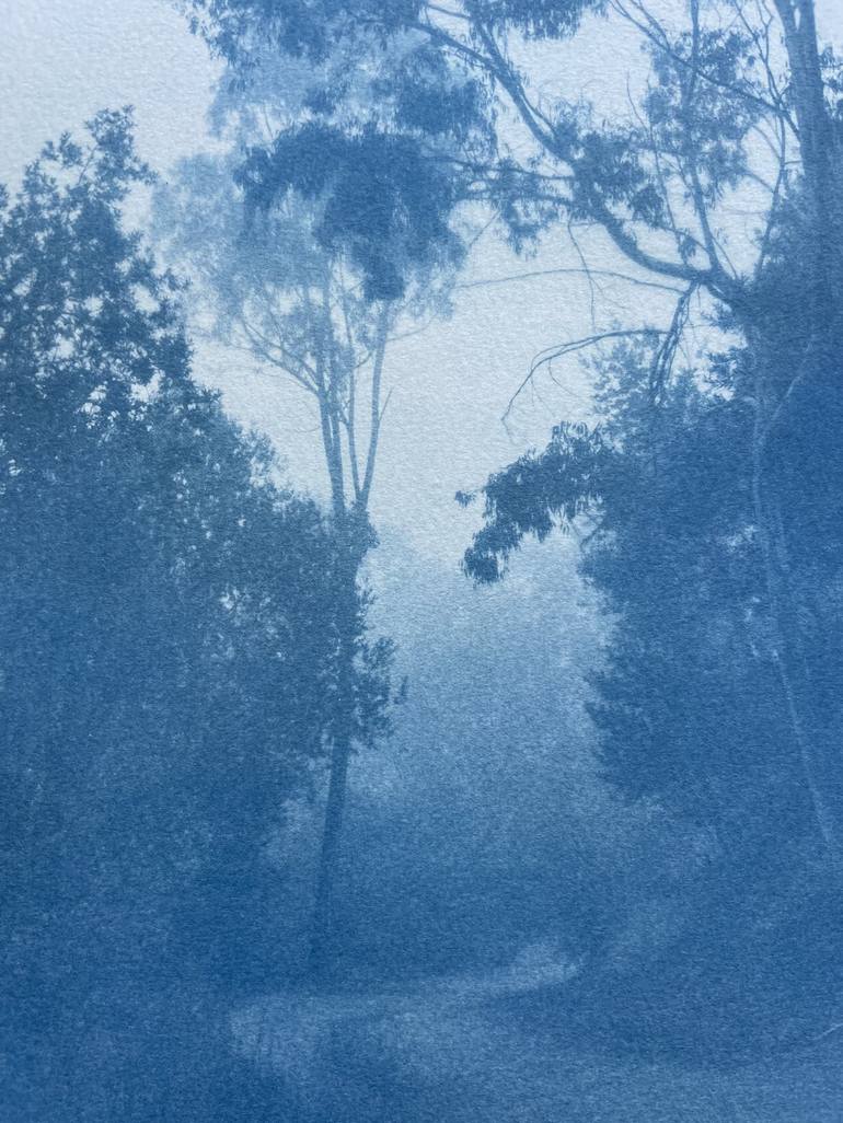 Original Fine Art Nature Photography by Christine So