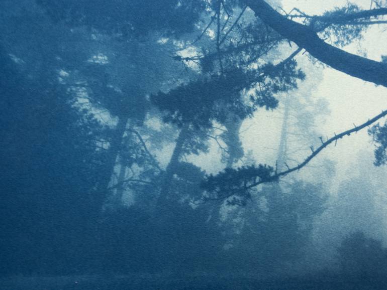 Original Realism Landscape Photography by Christine So