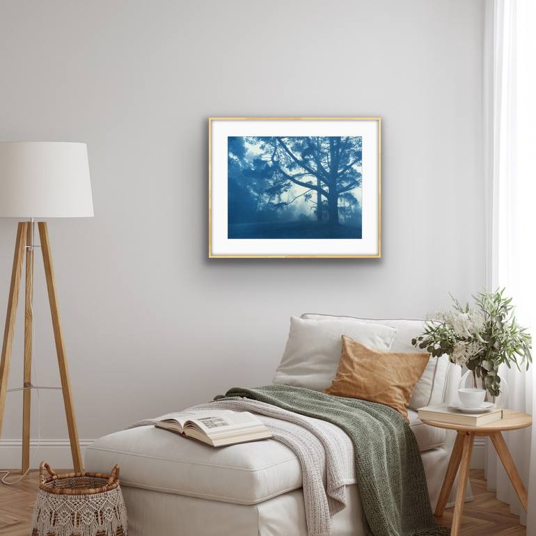Original Realism Landscape Photography by Christine So
