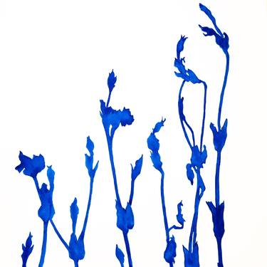 Original Contemporary Botanic Paintings by Christine So