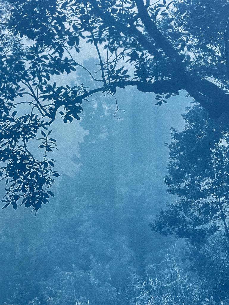 Original Impressionism Landscape Photography by Christine So