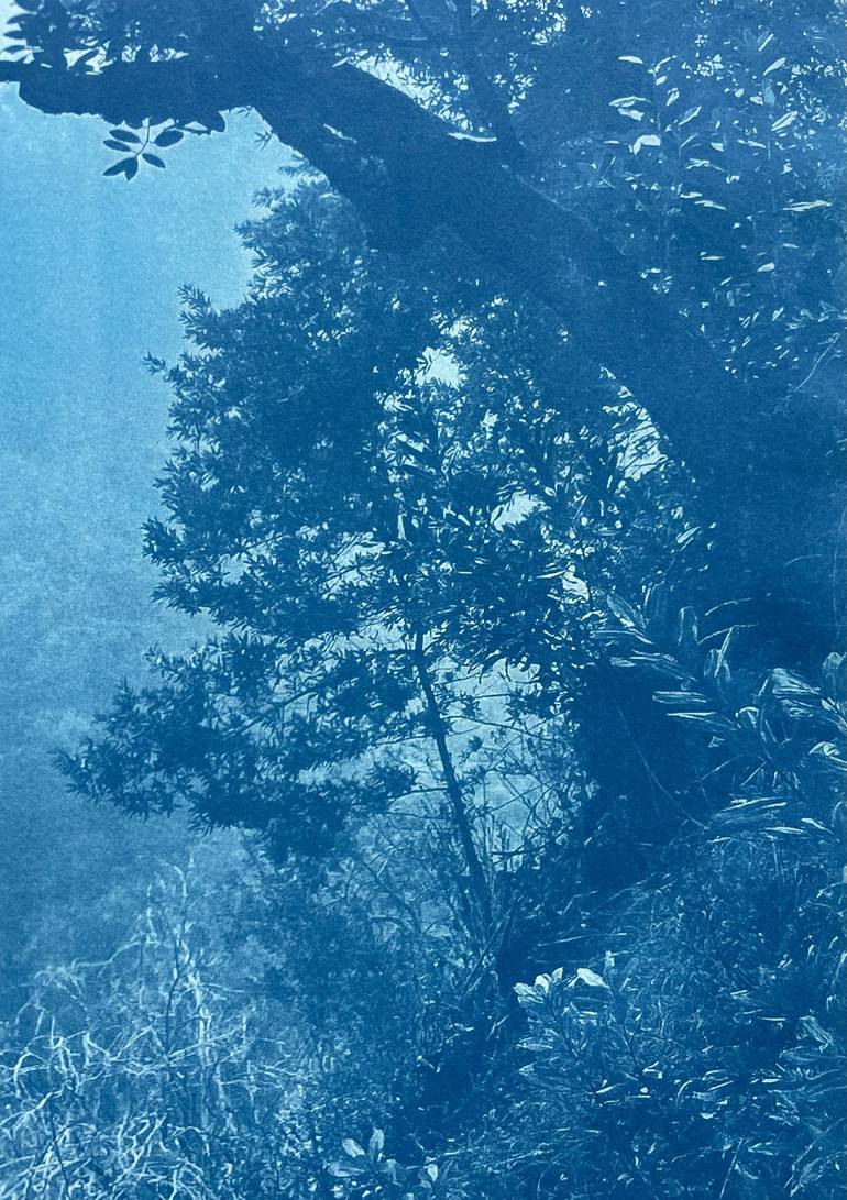 Original Impressionism Landscape Photography by Christine So