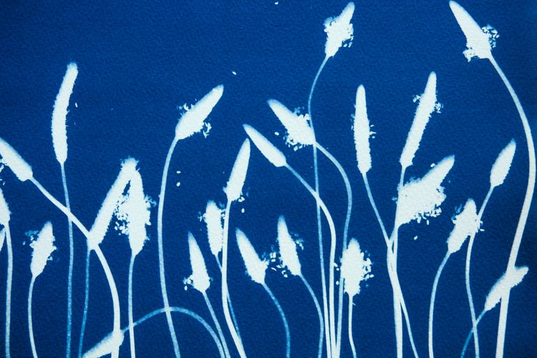 Original Minimalism Botanic Photography by Christine So