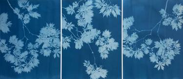 Indigo Maple Triptych (three 24 x 18 inch monotypes) thumb