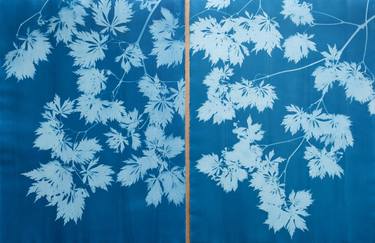 Blue Maple Diptych (Two 30 x 22” monotypes) thumb