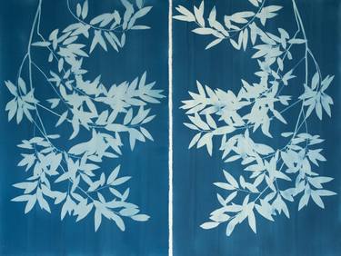 Bay Laurel Diptych  (Pair of unframed monotypes) thumb