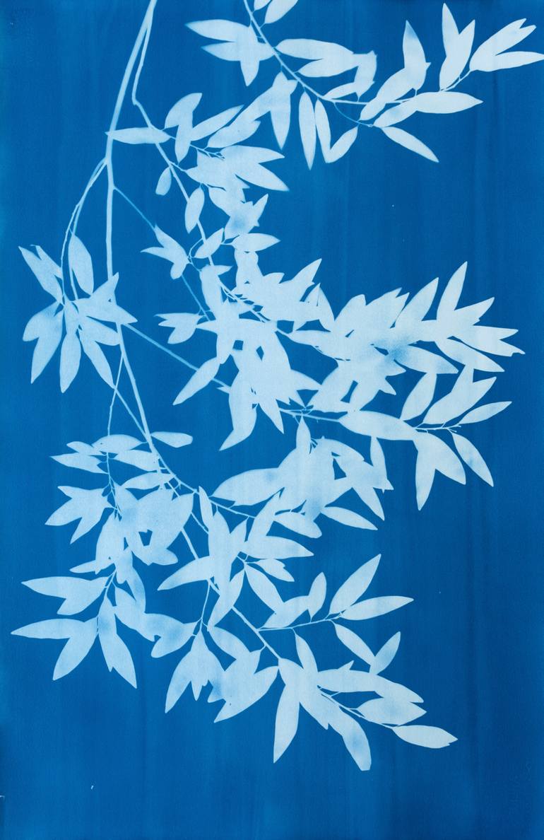 Original Minimalism Nature Photography by Christine So