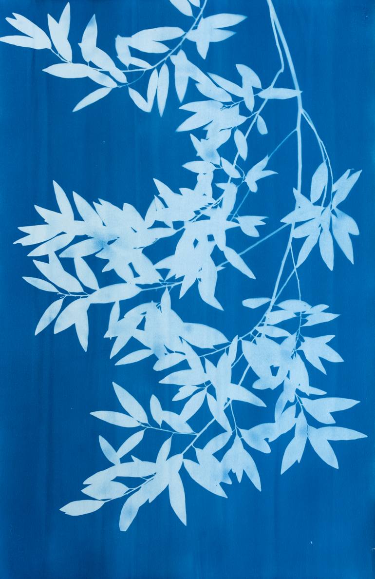 Original Minimalism Nature Photography by Christine So