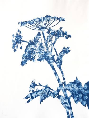 Print of Floral Paintings by Christine So
