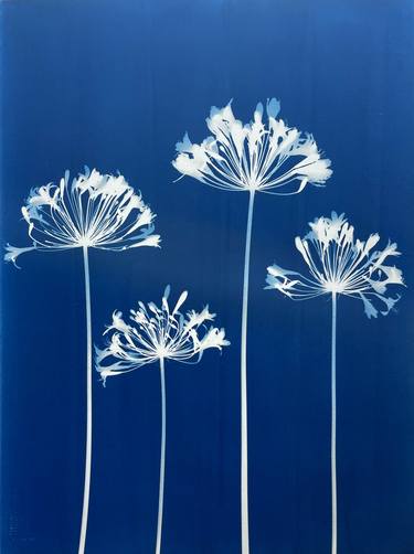 Original Fine Art Botanic Printmaking by Christine So