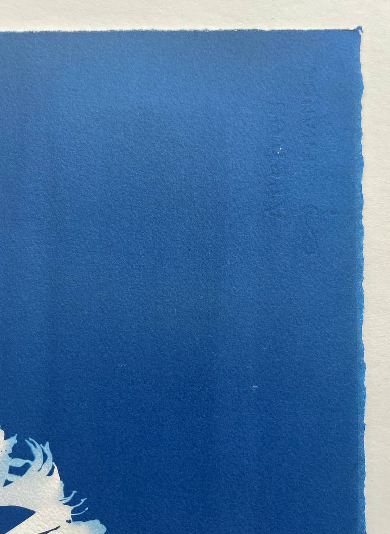 Original Other Botanic Printmaking by Christine So