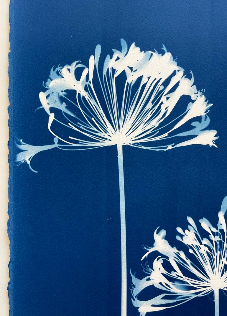 Original Other Botanic Printmaking by Christine So