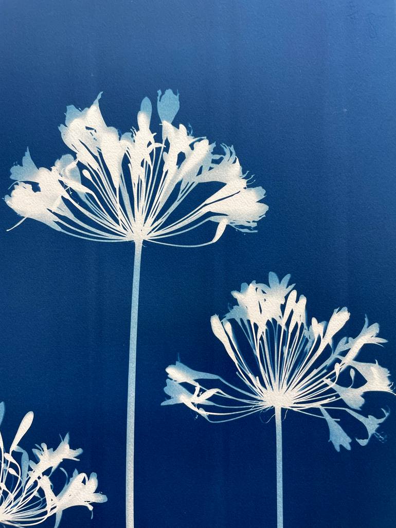 Original Other Botanic Printmaking by Christine So