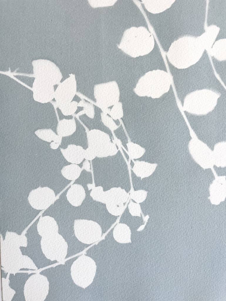 Original Contemporary Botanic Printmaking by Christine So