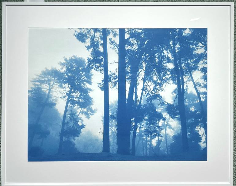 Original Other Nature Photography by Christine So