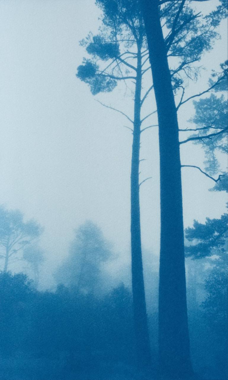 Original Fine Art Nature Photography by Christine So