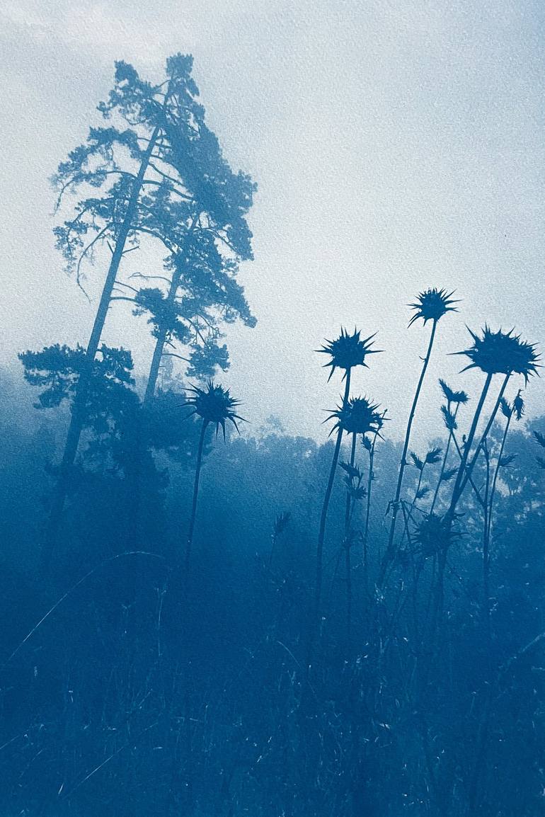 Original Fine Art Landscape Photography by Christine So