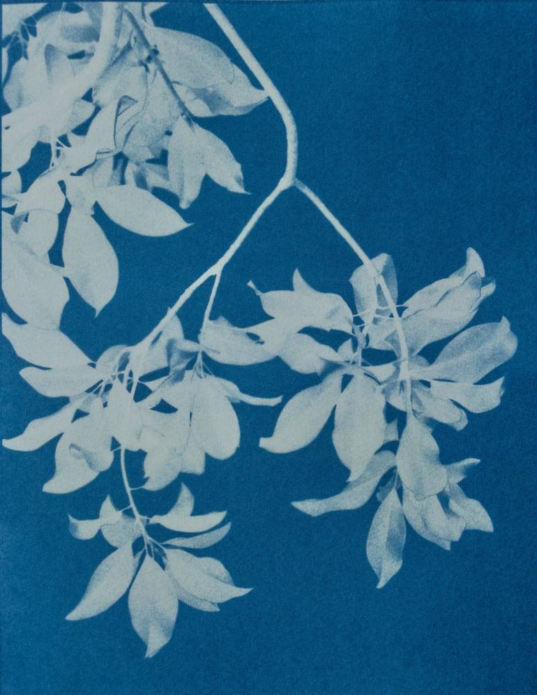 Original Fine Art Floral Photography by Christine So