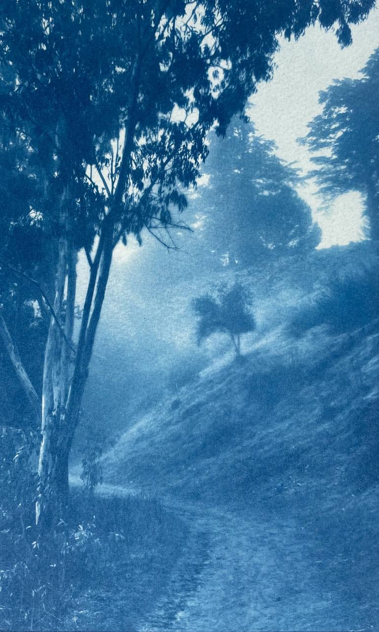 Original Fine Art Landscape Photography by Christine So