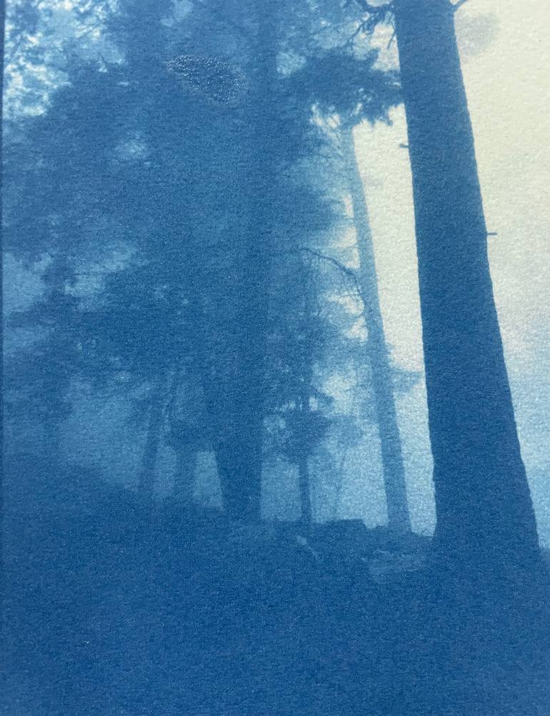Original Fine Art Landscape Photography by Christine So