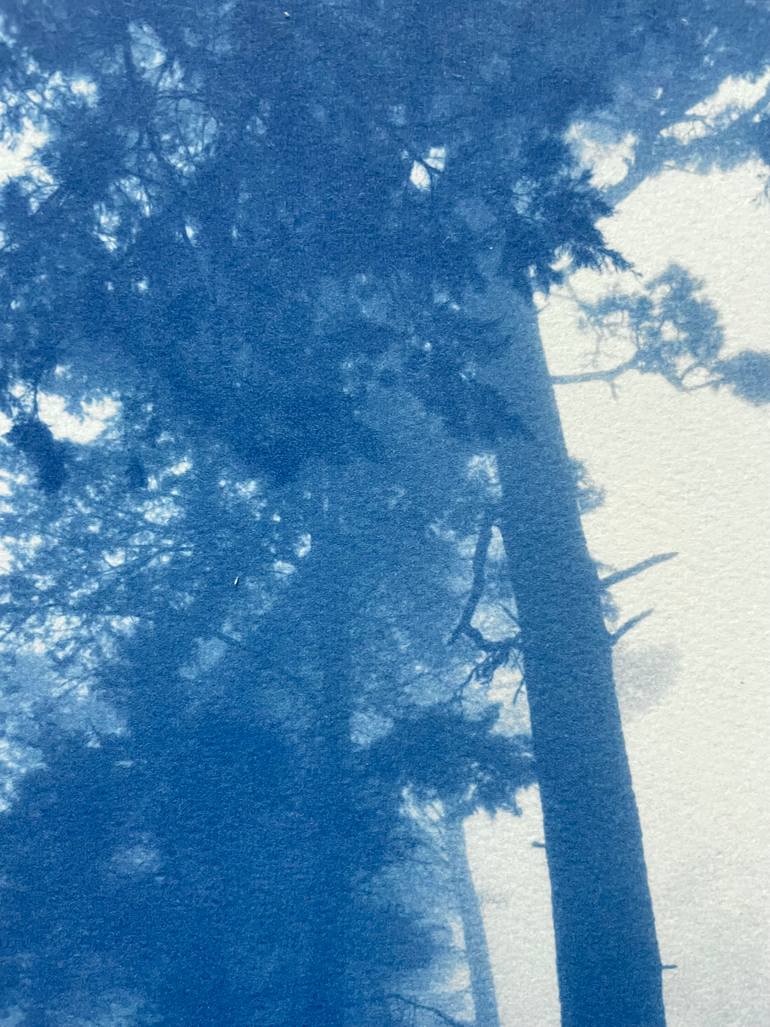 Original Fine Art Landscape Photography by Christine So
