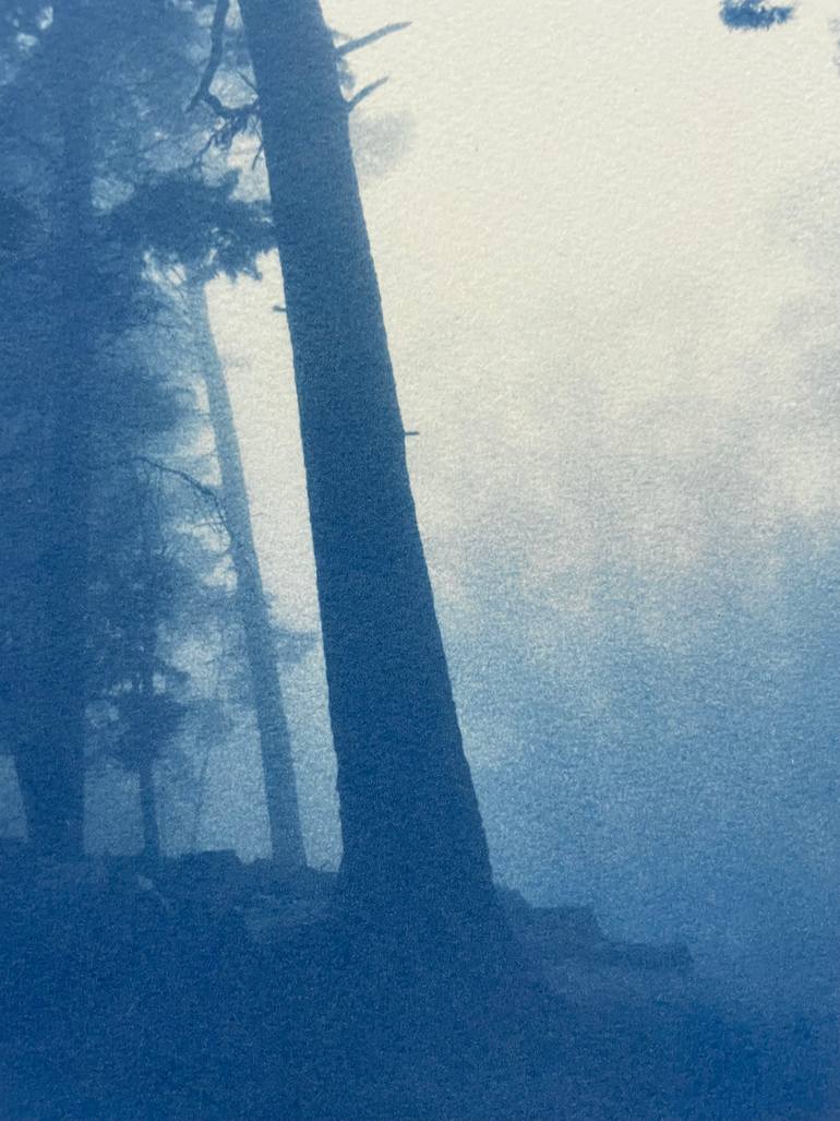Original Fine Art Landscape Photography by Christine So
