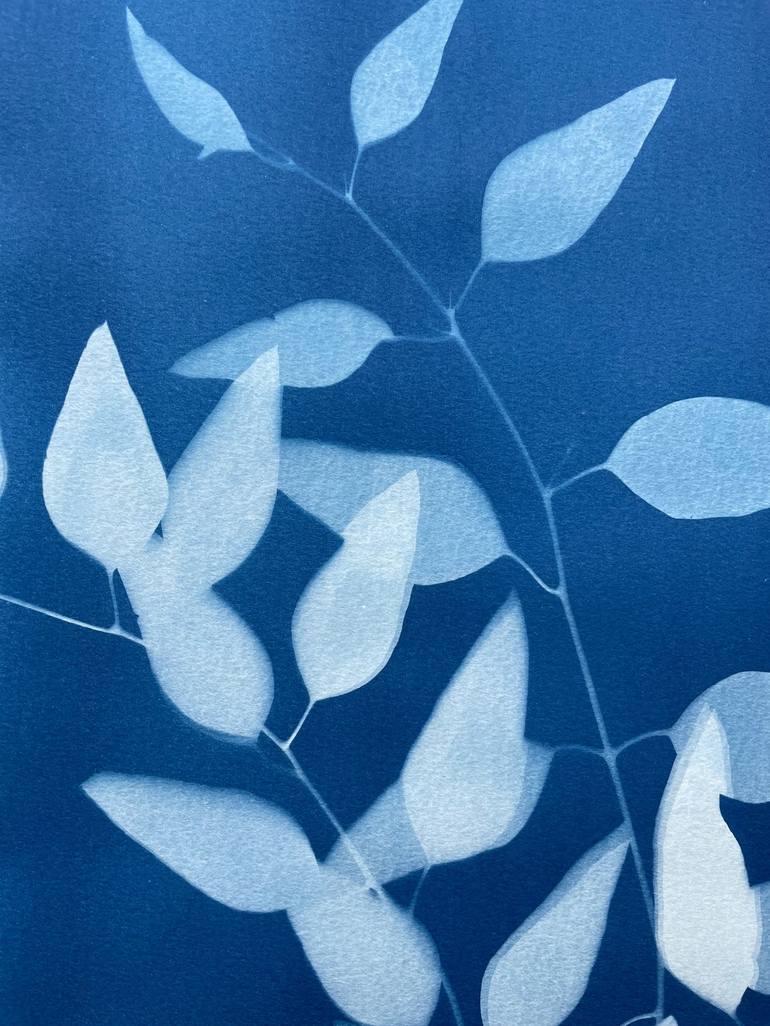 Original Fine Art Botanic Printmaking by Christine So