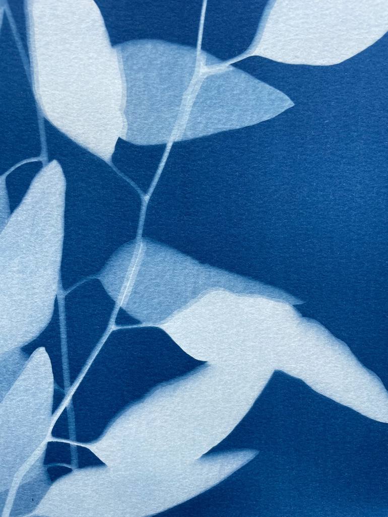 Original Fine Art Botanic Printmaking by Christine So