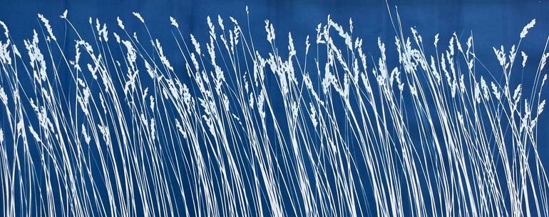 Original Fine Art Botanic Photography by Christine So