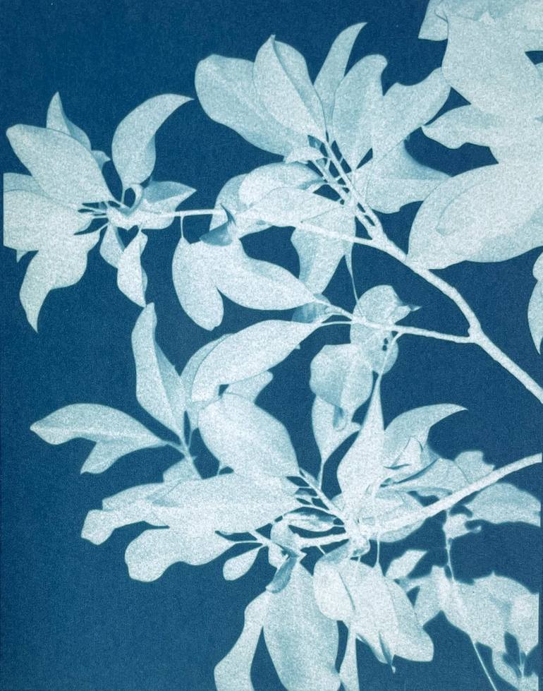 Print of Fine Art Floral Photography by Christine So
