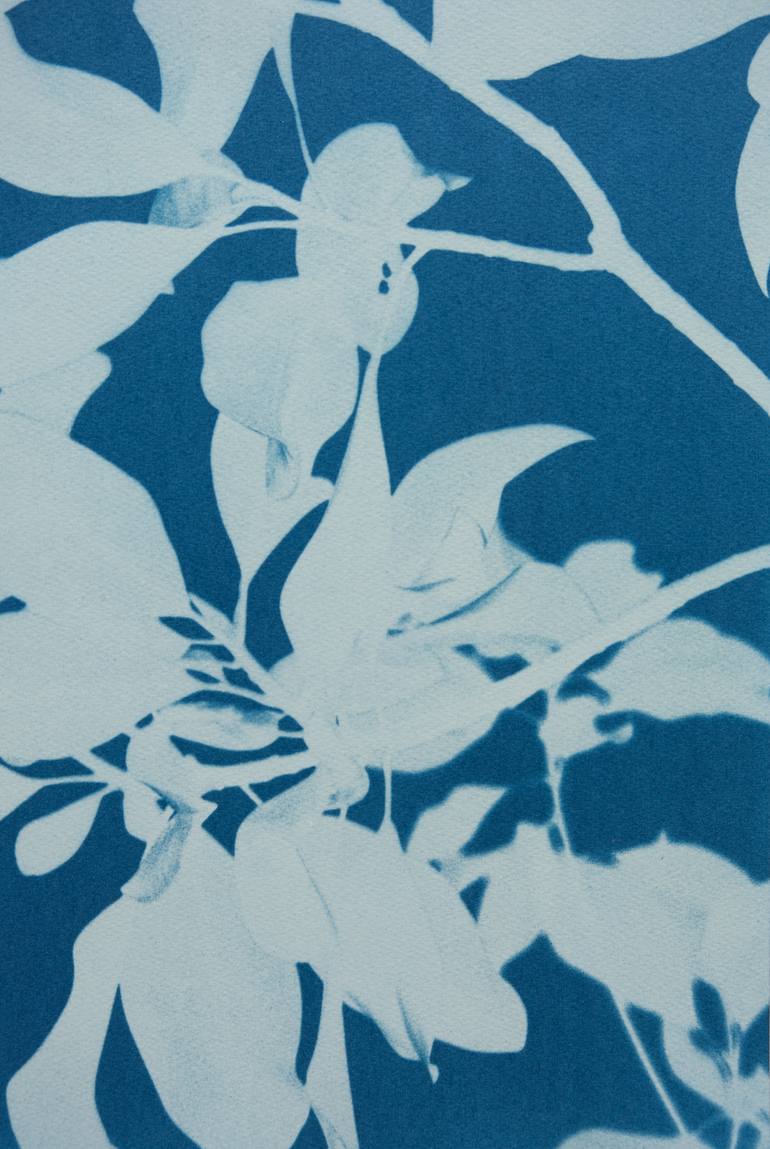 Original Minimalism Floral Photography by Christine So