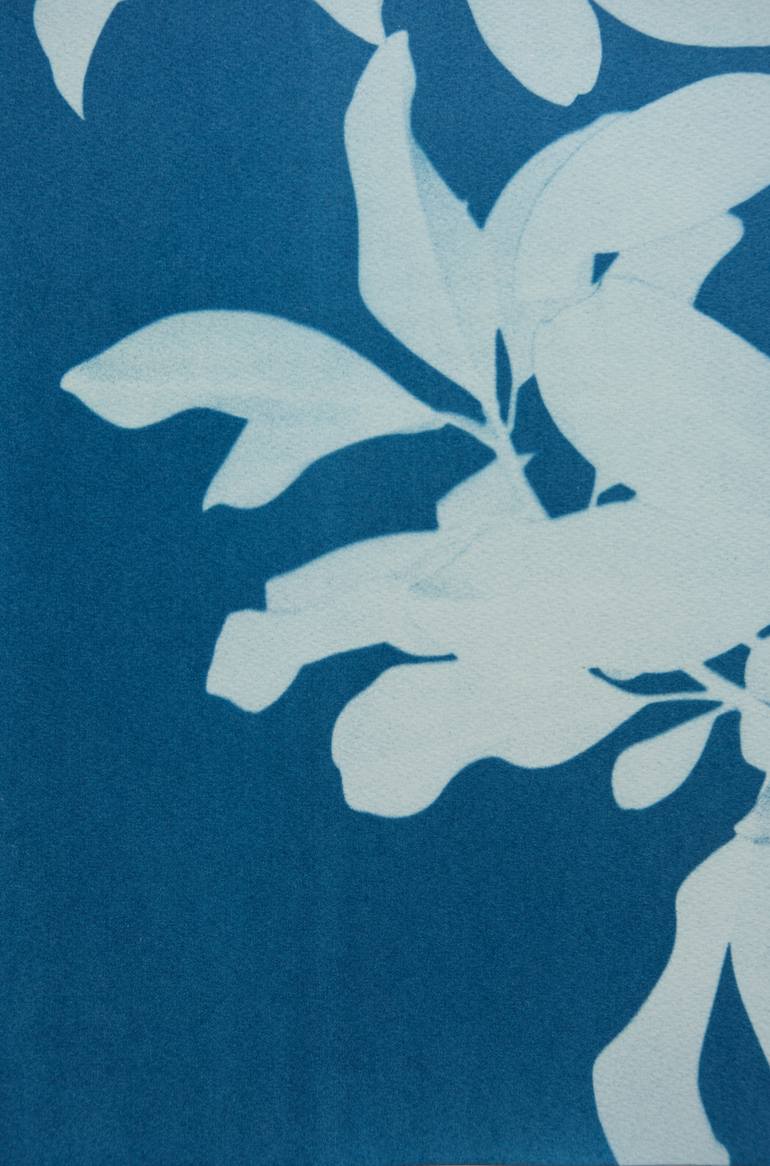 Original Minimalism Floral Photography by Christine So