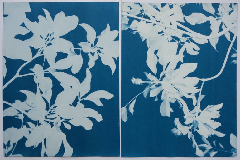 Original Minimalism Floral Photography by Christine So