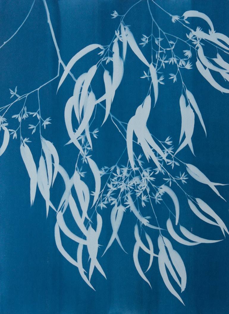 Print of Fine Art Botanic Photography by Christine So