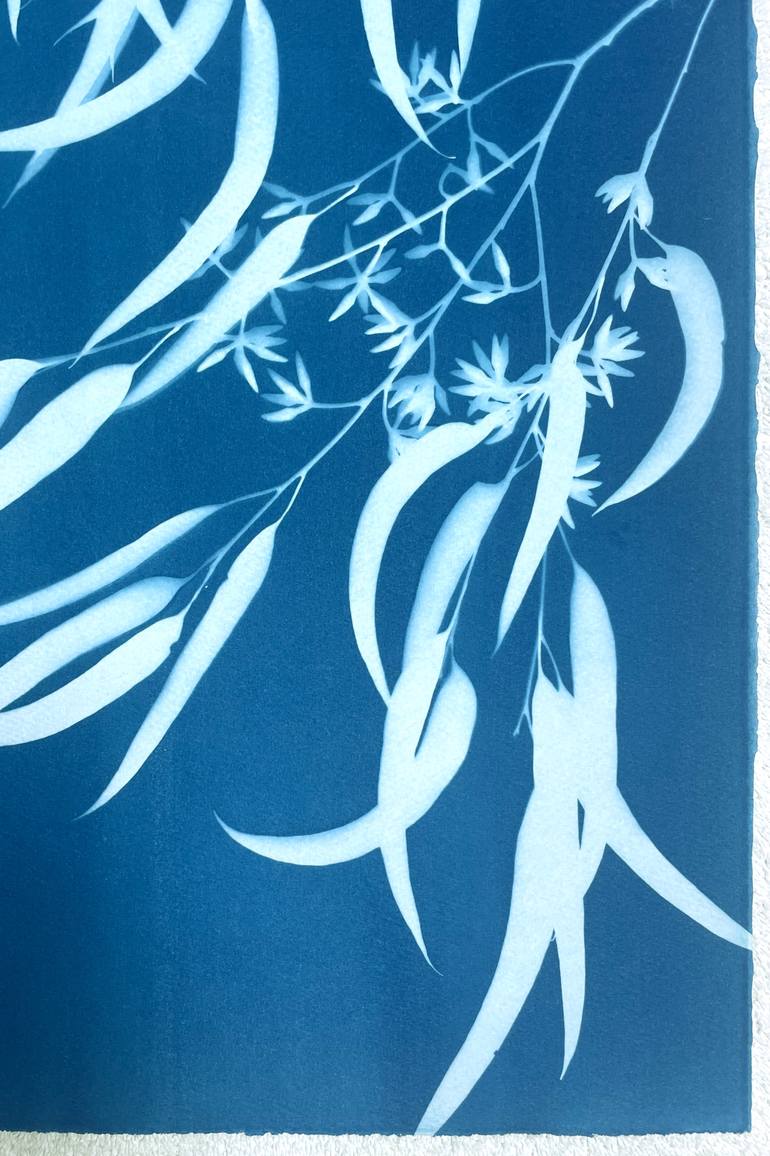 Original Illustration Botanic Photography by Christine So