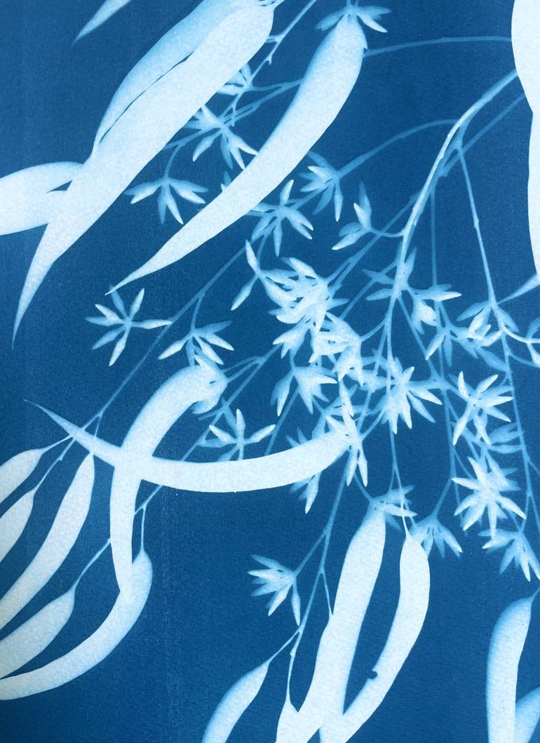 Original Illustration Botanic Photography by Christine So