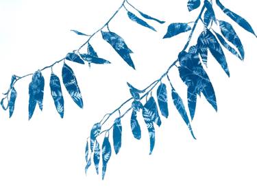 Original Abstract Botanic Paintings by Christine So