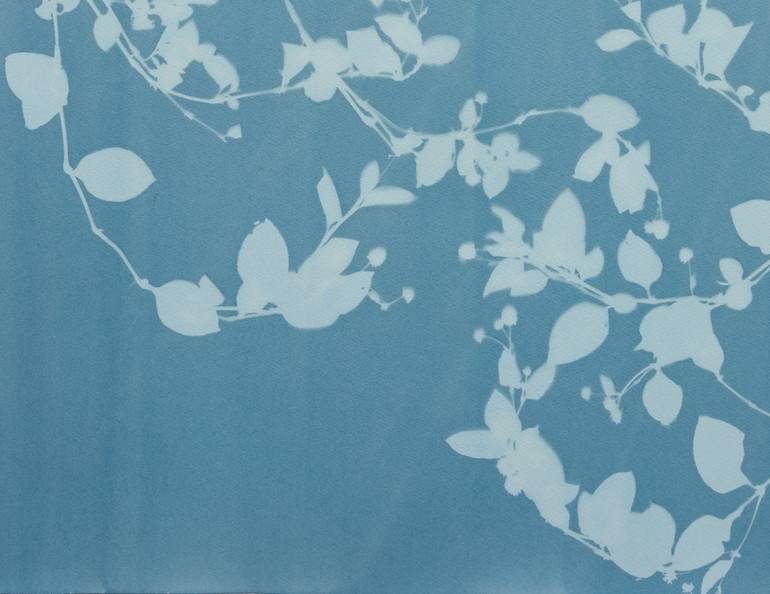 Original Contemporary Botanic Photography by Christine So